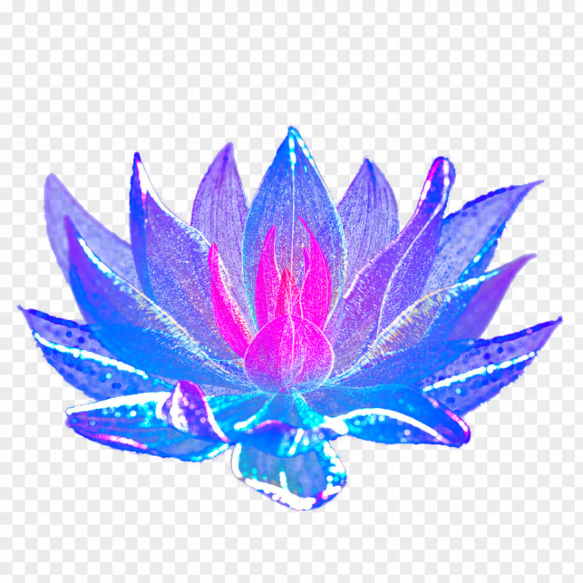 Hand-painted Light Effect Flower Effects Deduction Blue PNG