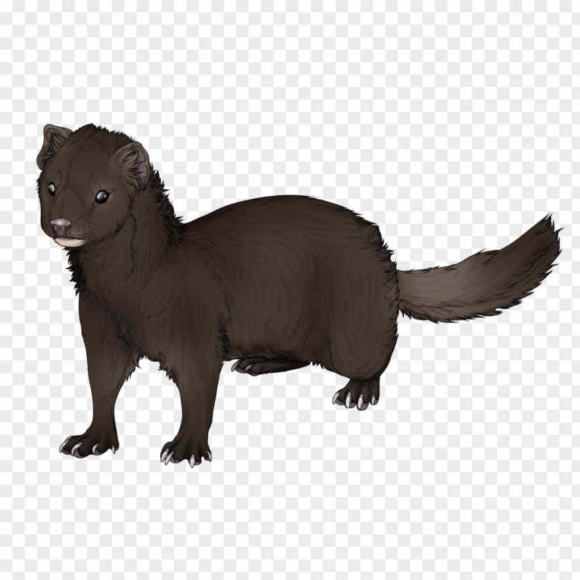 Hand Painted Mink Ferret Drawing Clip Art PNG