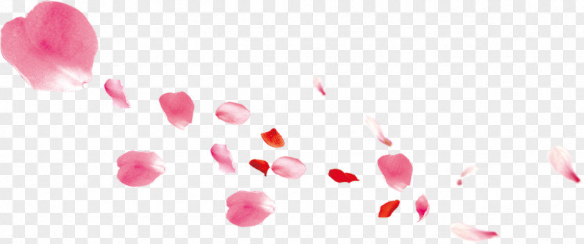 Pink Petals Falling Petal Gratis PNG