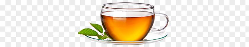 A Cup Of Tea And Mint Leaves PNG cup of tea and mint leaves clipart PNG
