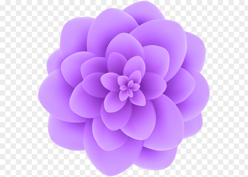 Flower Element Pink Flowers Blue Dahlia Clip Art PNG