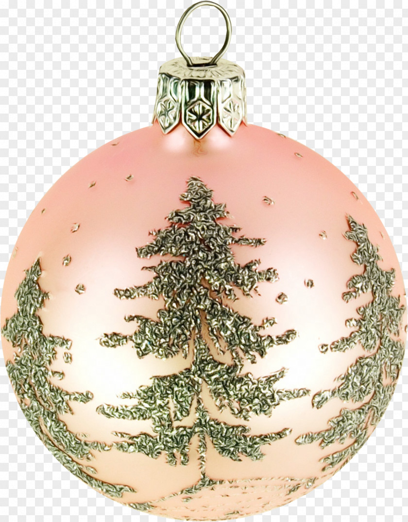 Pine Conifer Christmas Ornament PNG