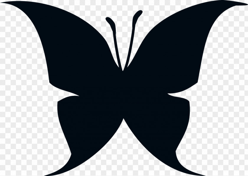 Silhouettes Butterfly Silhouette Drawing Clip Art PNG
