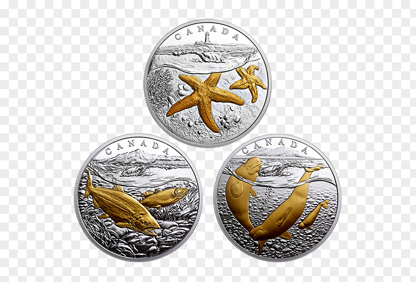 Silver Coin Gold Plating PNG