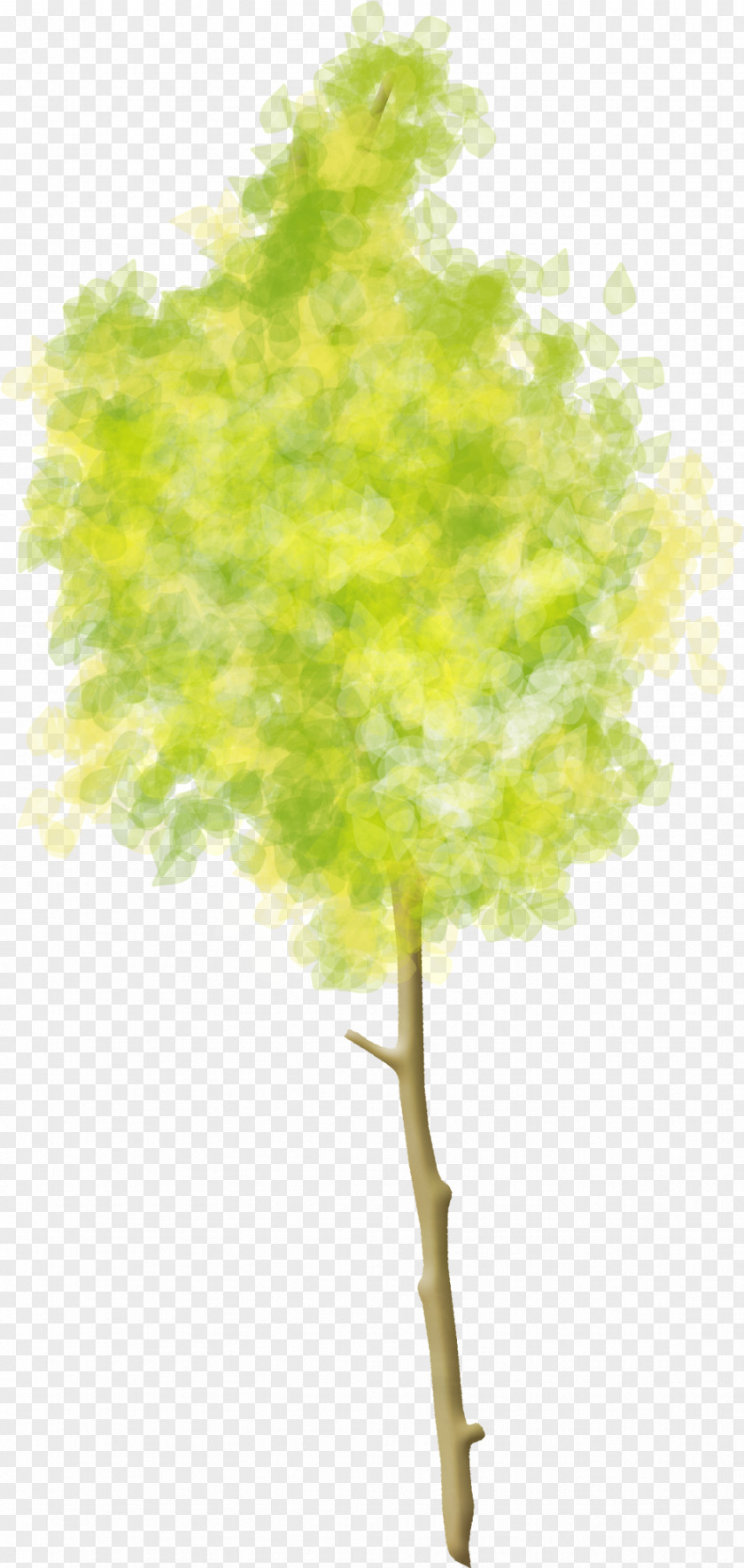 Trees Tree Woody Plant Clip Art PNG