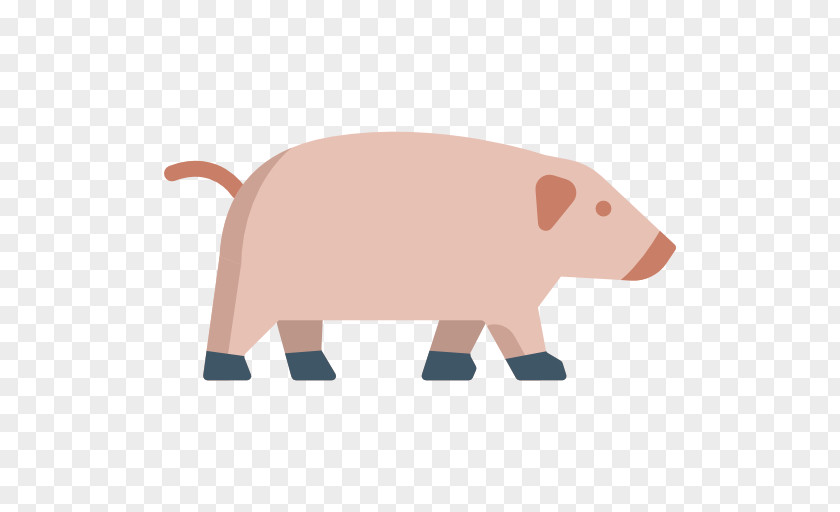 Tummy Pigs Free Download Domestic Pig Snout Clip Art PNG