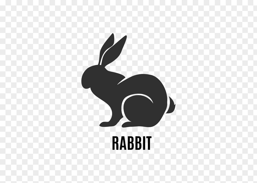 Zodiac Rabbit Hare Horoscope Chinese PNG