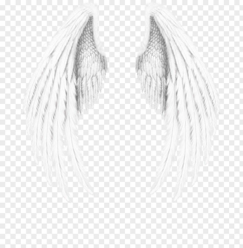 Angel Wings Wing Download PNG