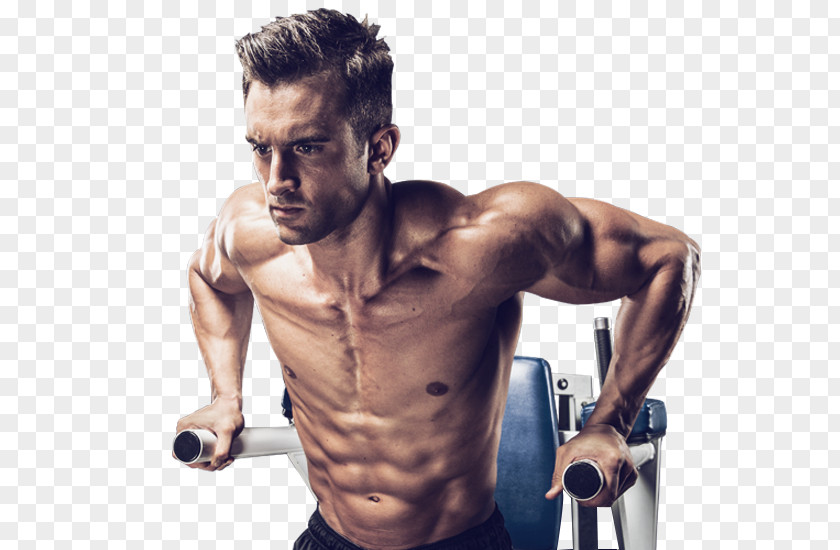Athlete Muscle Bodybuilding Weight Training Sport PNG