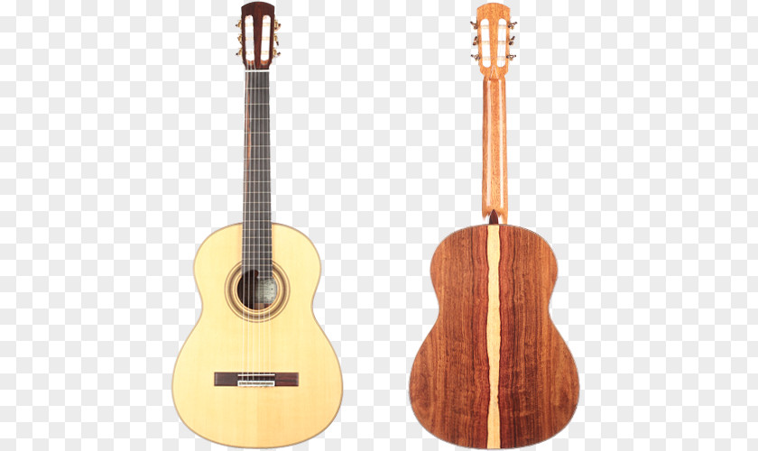 Acoustic Guitar Tiple Ukulele Bass Cuatro PNG