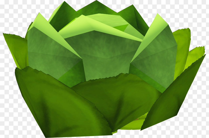 Cabbage RuneScape Non-player Character Wikia Game PNG