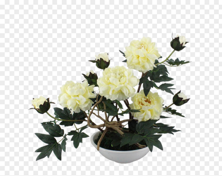 Huang Yao Software Installed Decorative Peony U9ec3u7261u4e39 Flower Icon PNG