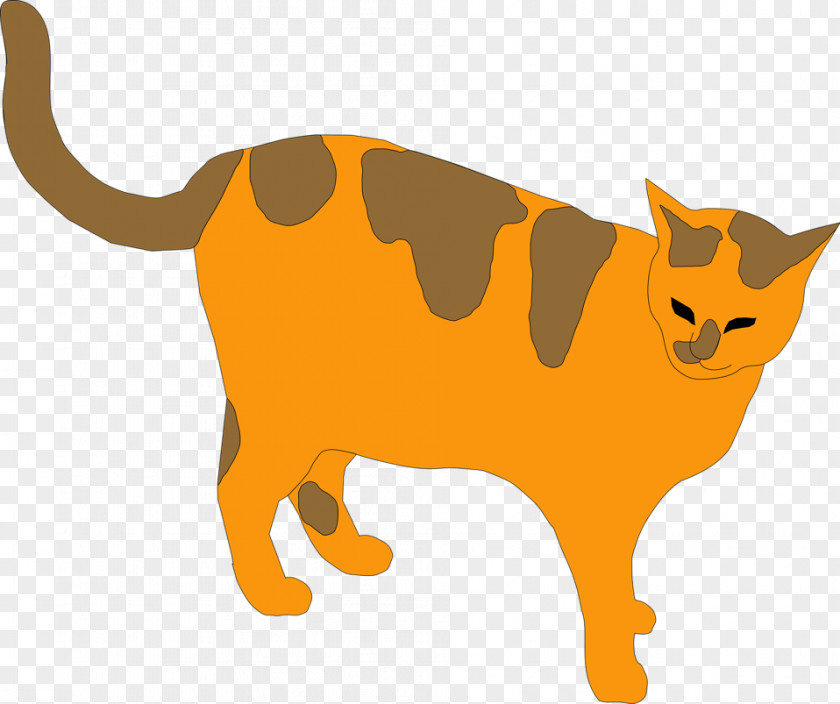 Orange Cat Pictures Persian Havana Brown Kitten Tabby Clip Art PNG