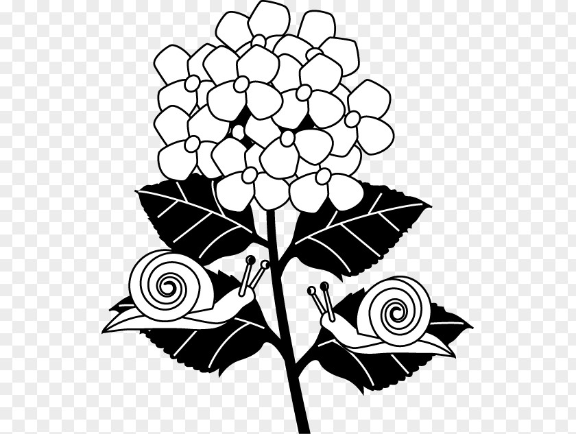 Flower Floral Design Coloring Book Visual Arts Black And White PNG