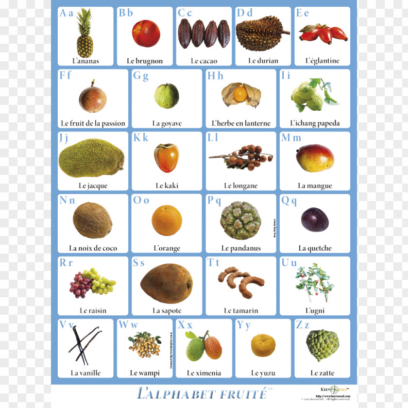 Fruit Alphabet English Letter Case PNG