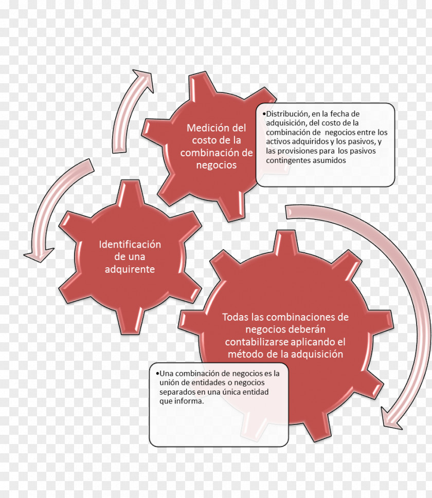 Girls Organization Enterprise Architecture Health Care Business PNG