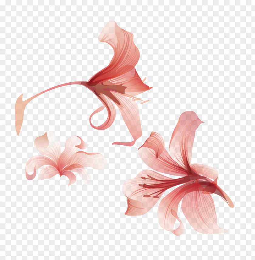 Vector Floral Flowers Flower Euclidean Adobe Illustrator PNG