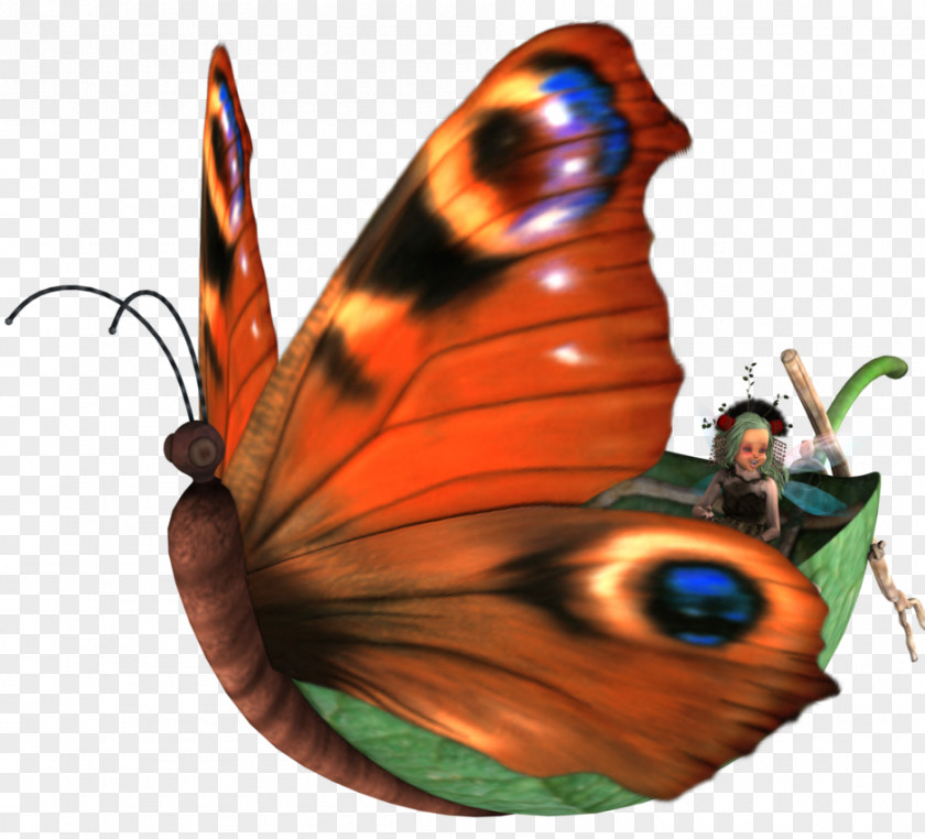 Watermarking Monarch Butterfly Lycaenidae Nymphalidae PNG