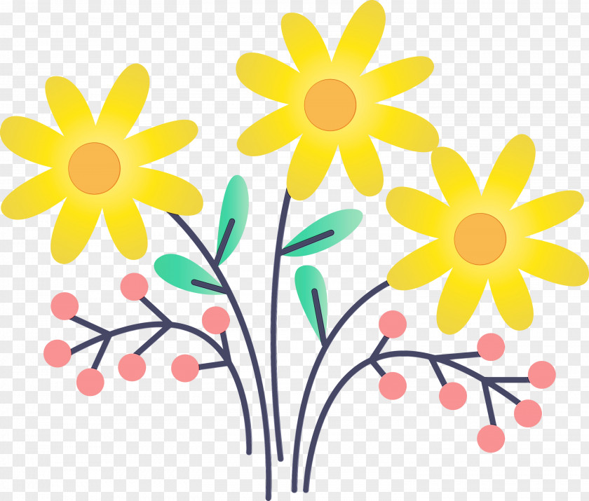Yellow Flower Chamomile Wildflower Pedicel PNG