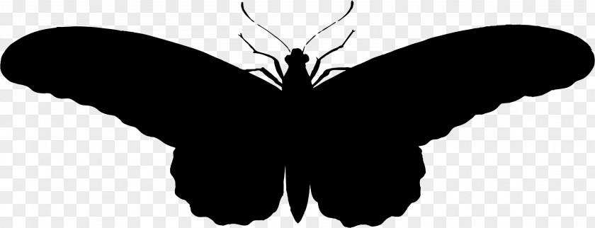 Butterfly Silhouette PNG