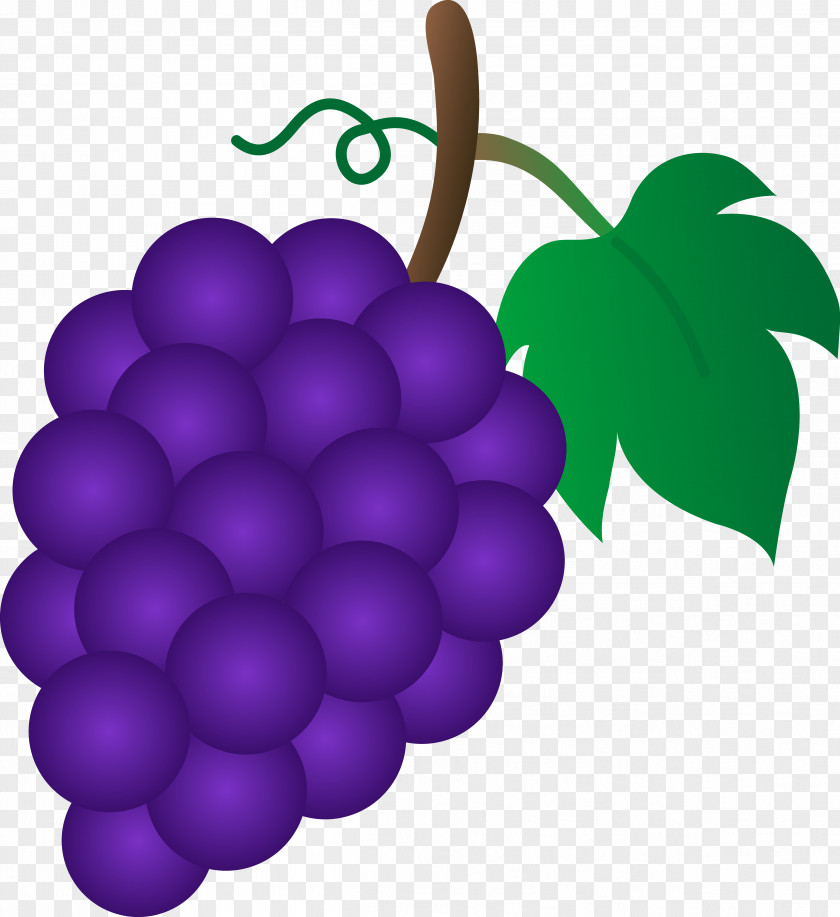 Cartoon Grapes Cliparts Common Grape Vine Sultana Clip Art PNG