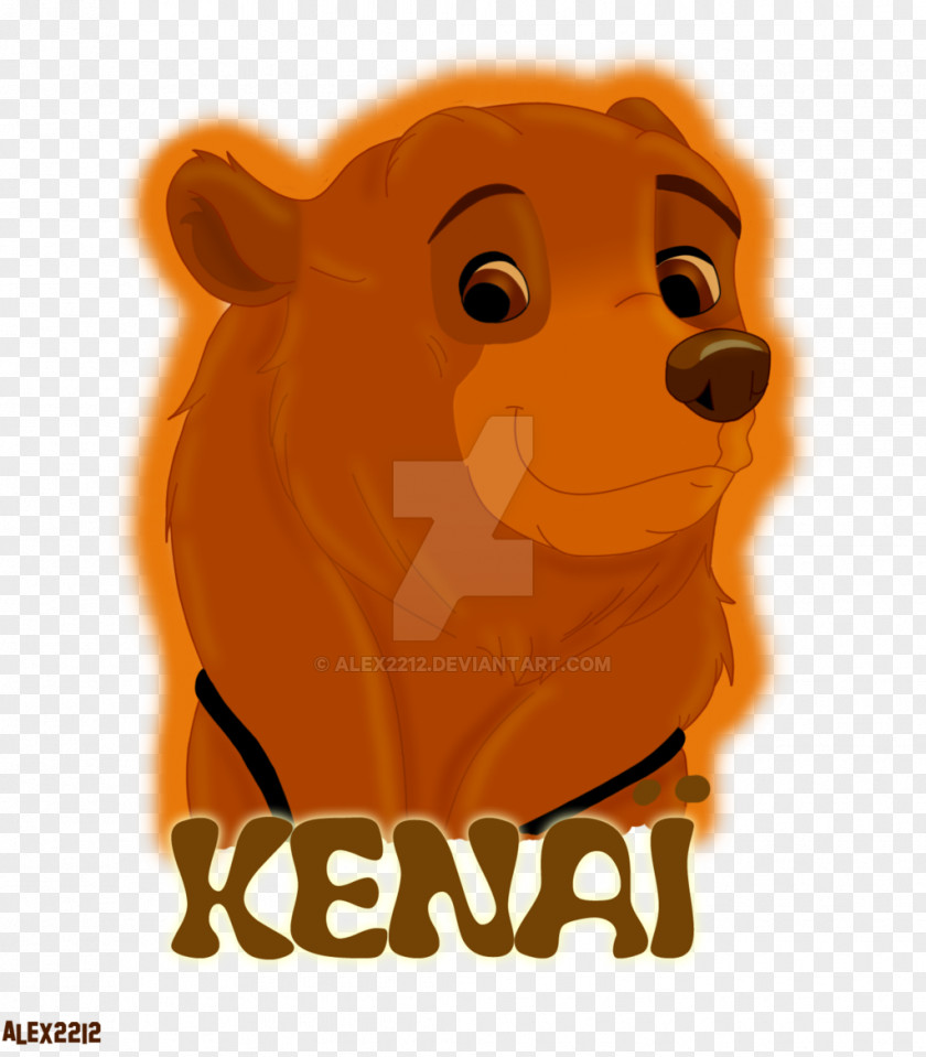 Lion Bear Dog Cat Illustration PNG