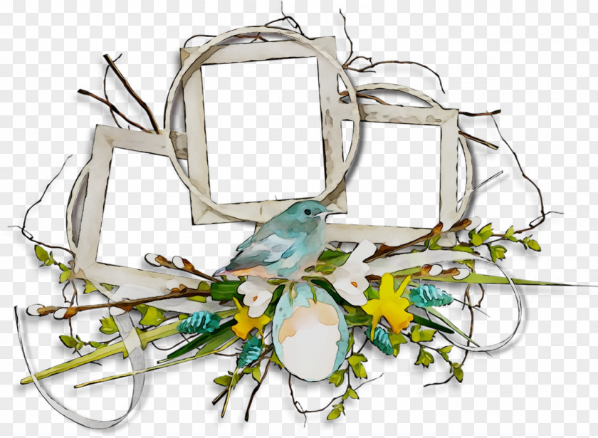 Pet Parakeet PNG