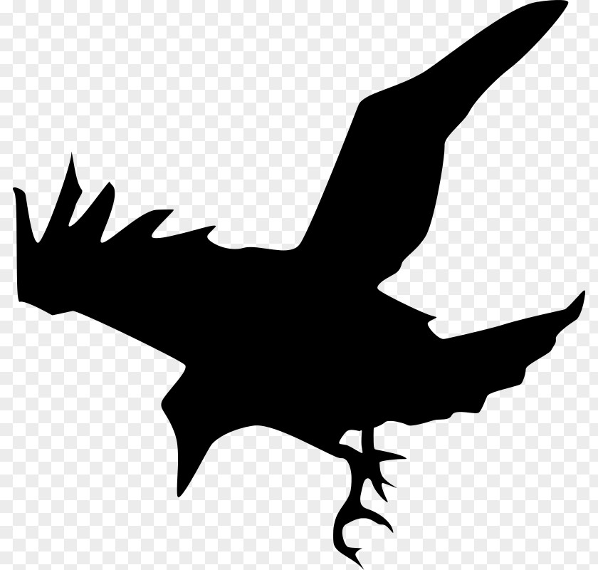 Silhouette Common Raven Clip Art PNG