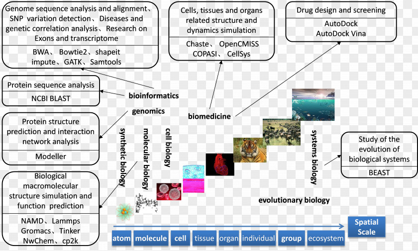 Biological Medicine Advertisement Personalized Diagram Computational Biology Data Structure PNG