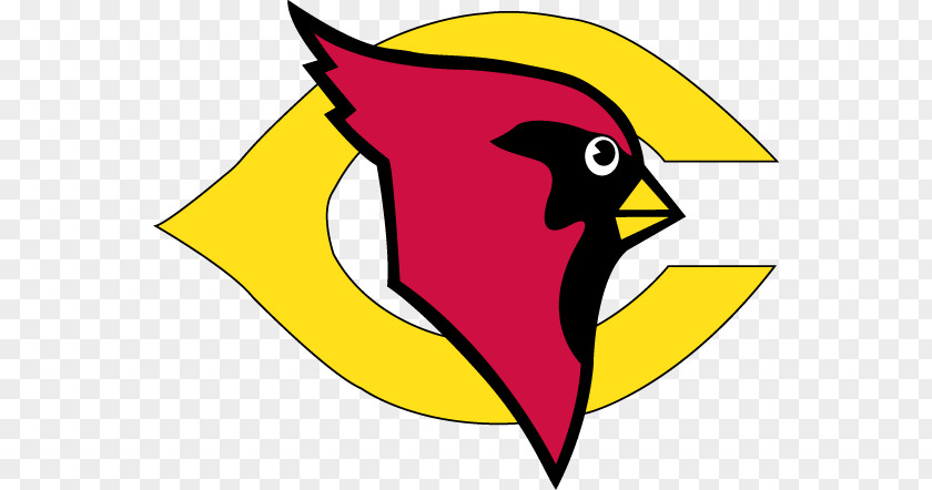 Bird Cardinal Bishop Carroll High School Calgary Catholic District Lacombe Composite National Secondary PNG