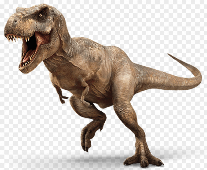 Jurassic World Transparent Tyrannosaurus Rex Triceratops Dinosaur Velociraptor Late Cretaceous PNG