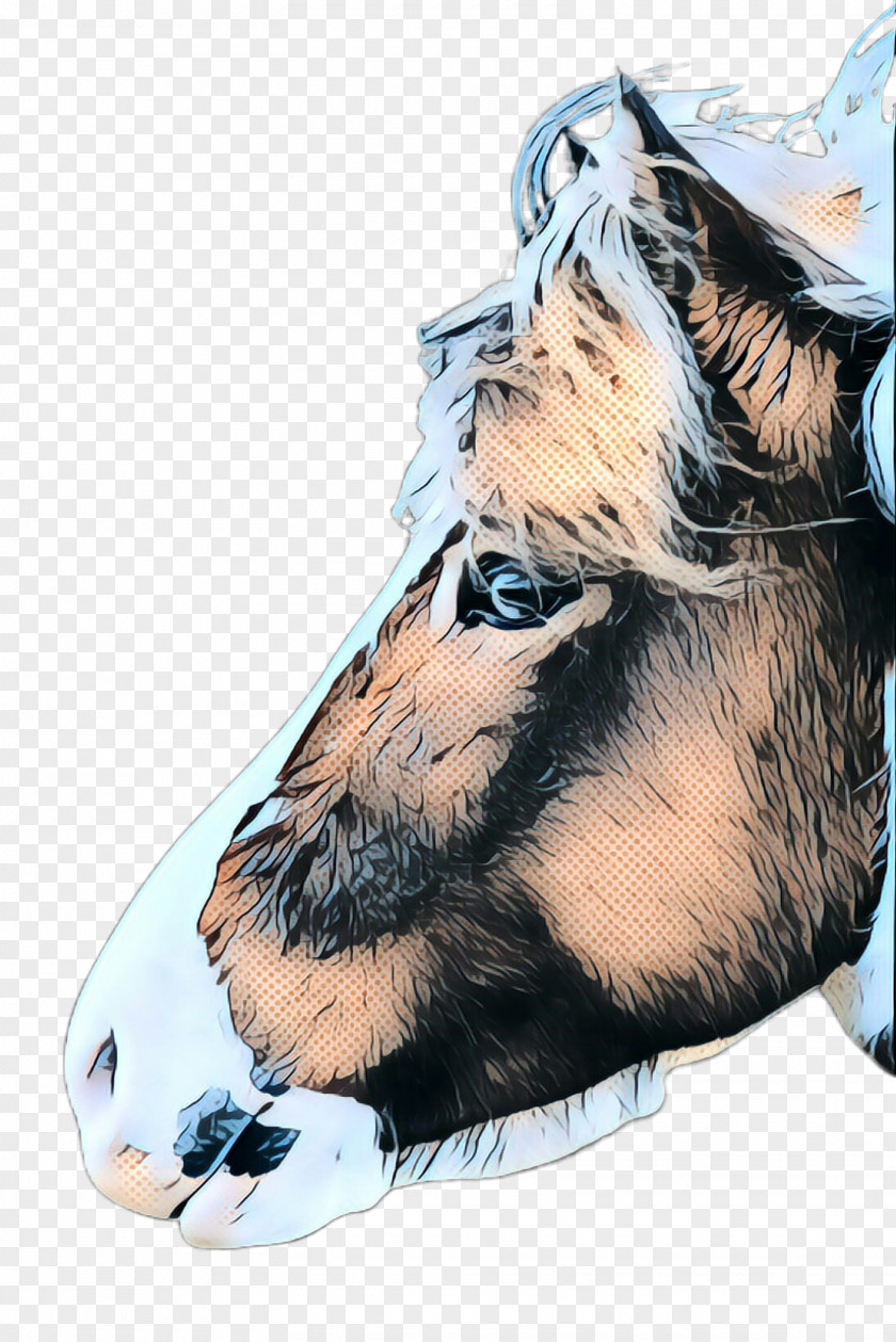 Ear Horse Nose Snout Fictional Character PNG