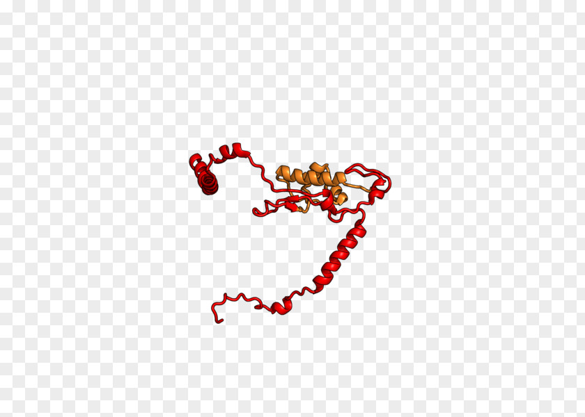 Eukaryotic Large Ribosomal Subunit Ribosome Protein Svedberg PNG