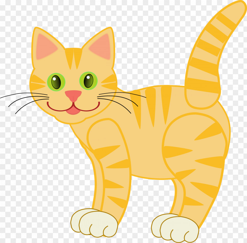 Kitten Whiskers Tabby Cat Domestic Short-haired Clip Art PNG