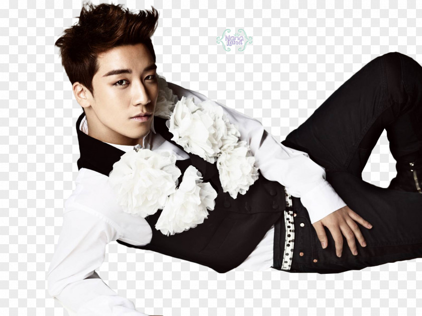 Kpop Seungri Alive Galaxy Tour BIGBANG K-pop Big Bang PNG