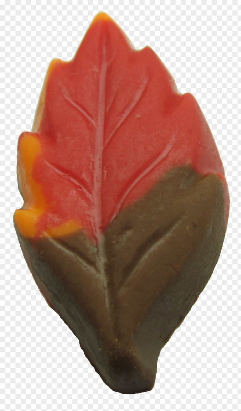 Leaf Candy Cane Maple Oak Red Ribbon PNG