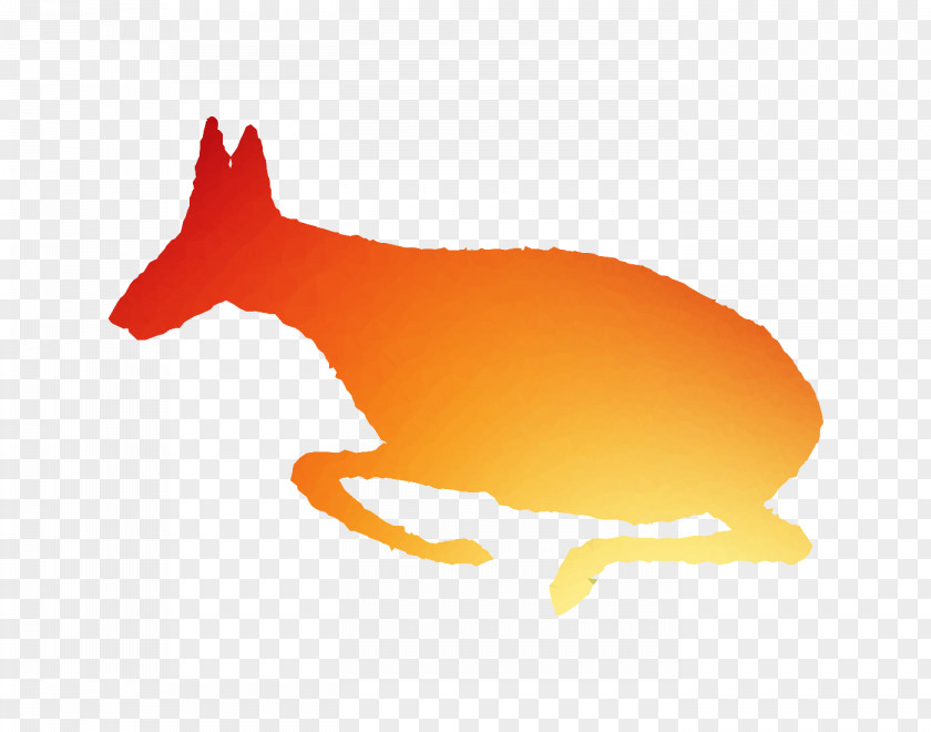 Red Fox Dog Canidae Mammal Clip Art PNG