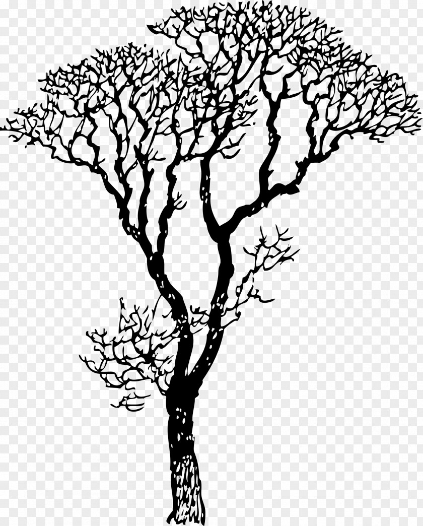 Tree Wall Decal Sticker Vinyl Group PNG