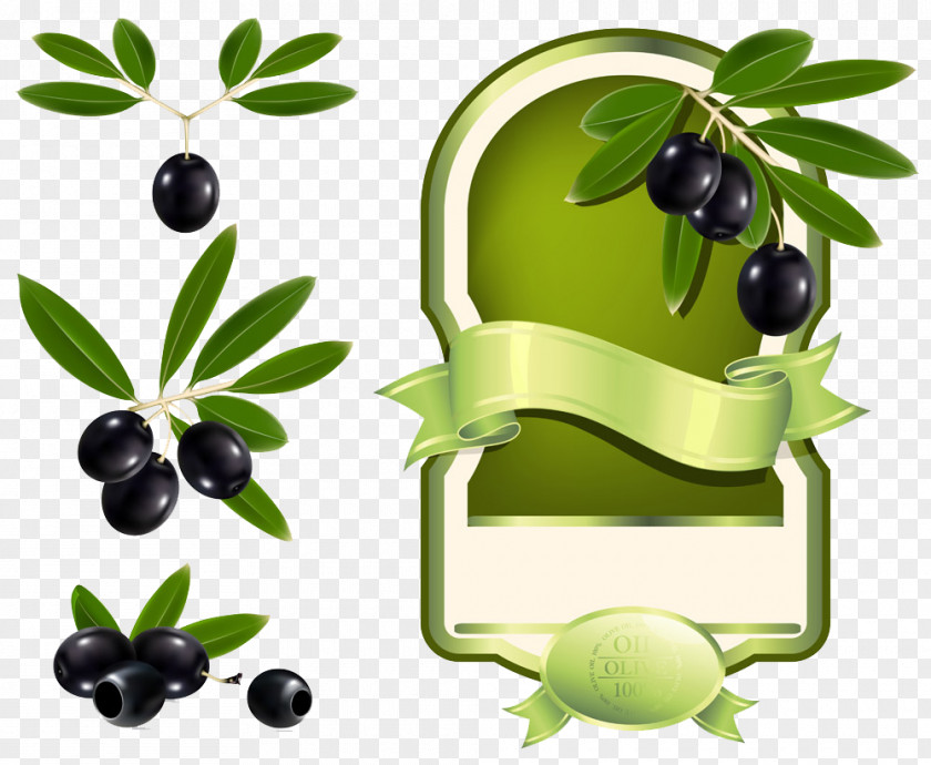 Black Olives Collection Olive Oil Label Clip Art PNG