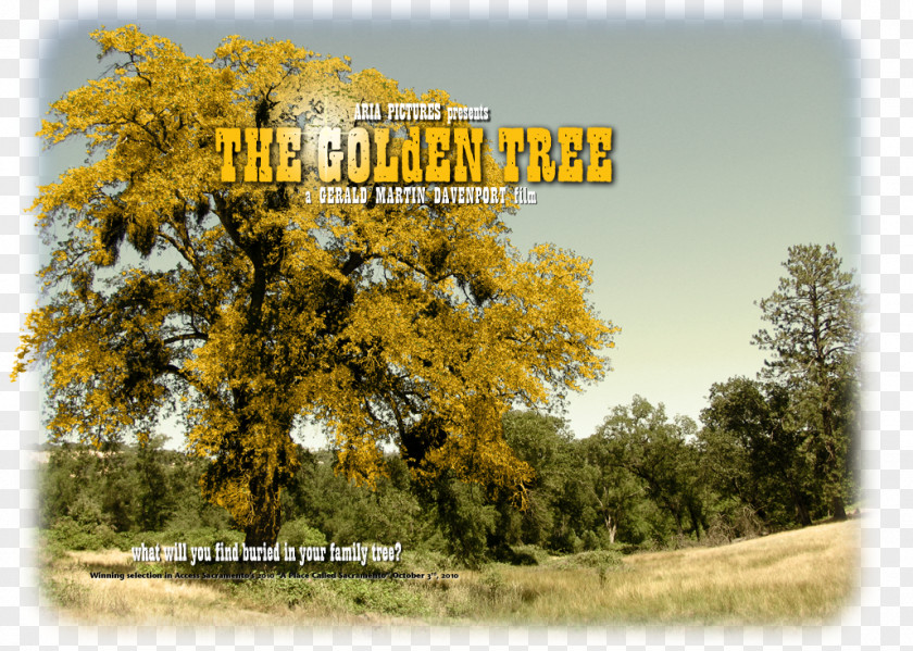 Design Web Sacramento Golden Tree Way California Gold Rush PNG