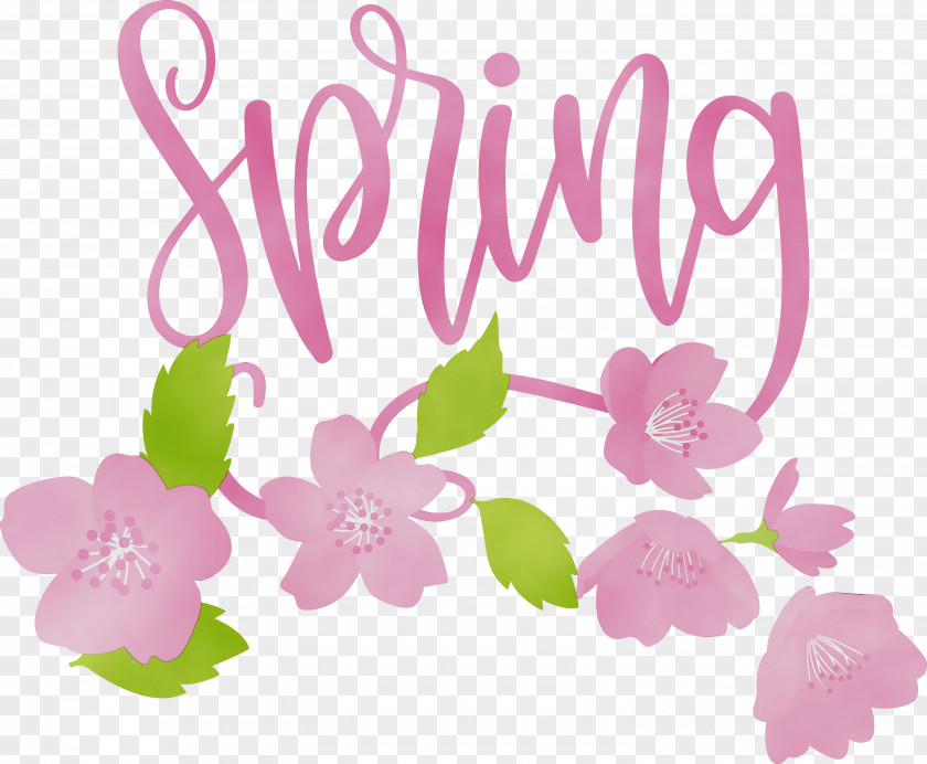 Floral Design PNG