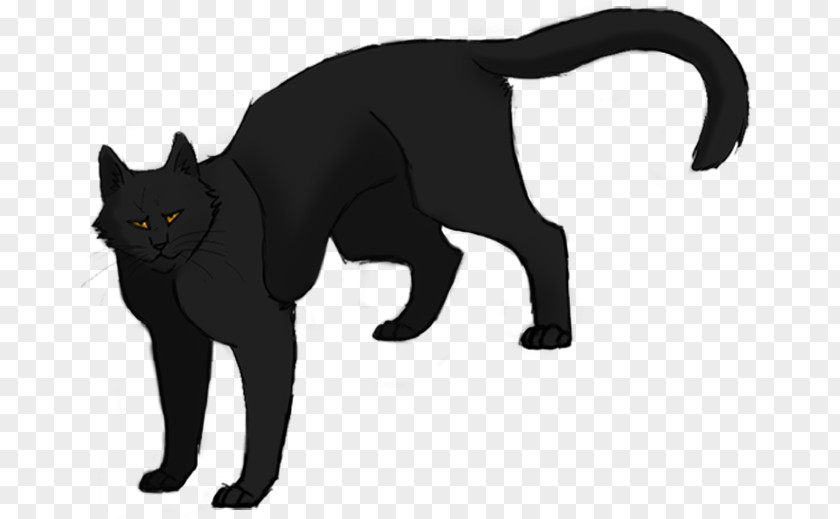 Jayfeather Black Cat Bombay Whiskers Night Whispers Warriors PNG