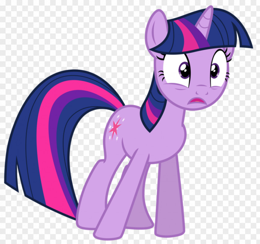 My Little Pony Twilight Sparkle Rarity Rainbow Dash Pinkie Pie PNG