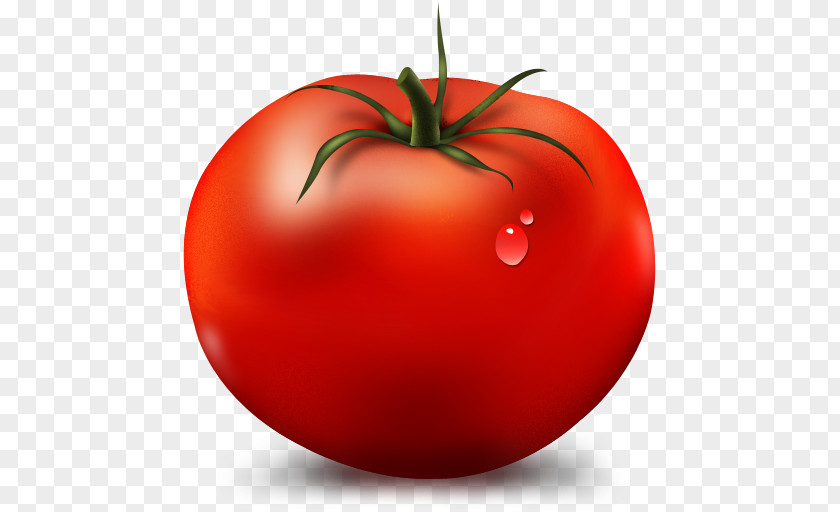 Tomato Vegetable Cartoon Fruit Icon PNG
