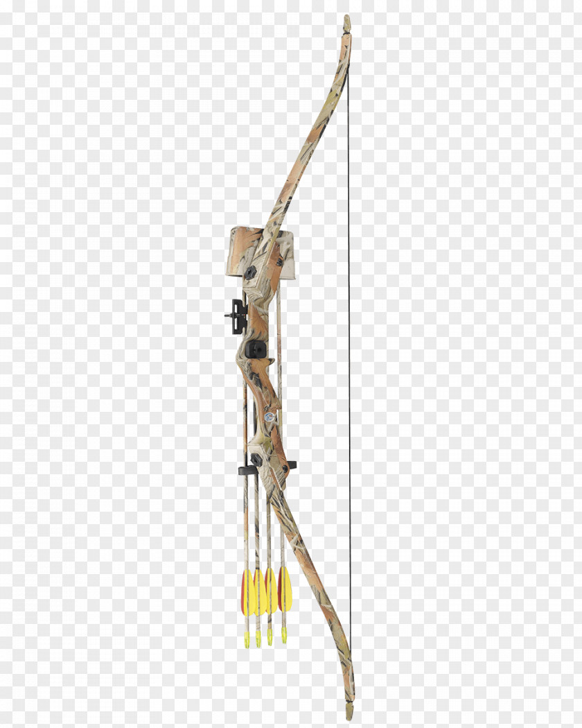 Arrow Bow And Recurve Compound Bows Archery PNG