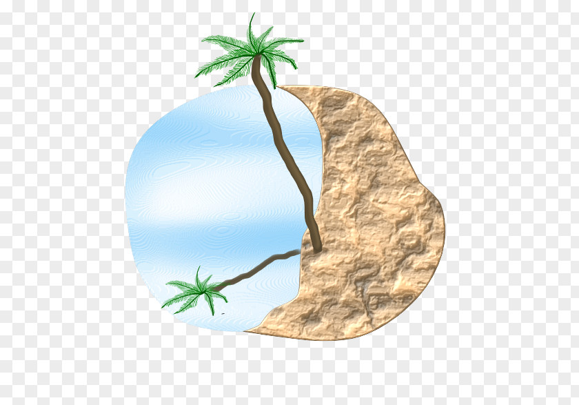 Beach Palm Clip Art PNG