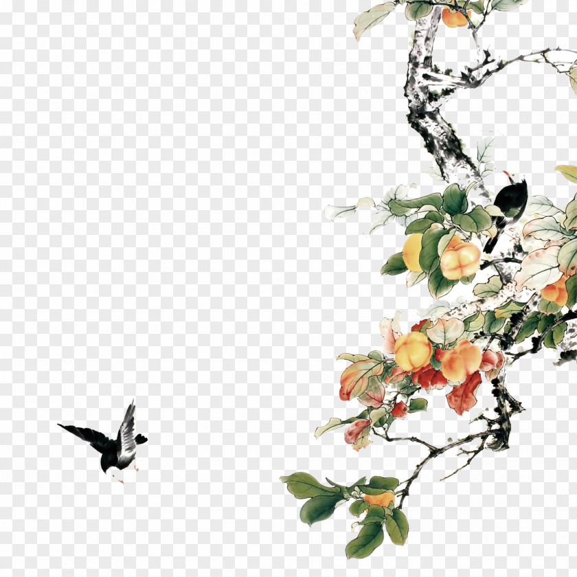 Birds And Flowers Chinese Painting Han Dynasty List Of Universities Colleges With Sinology Programs Bird-and-flower PNG
