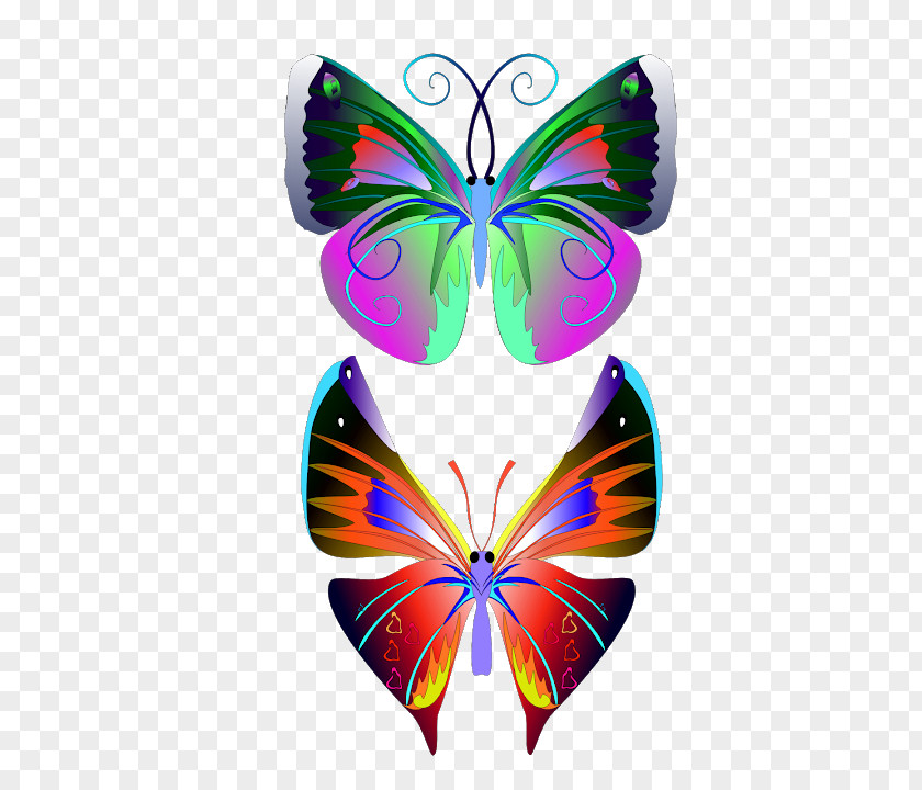 Butterfly Material NZ Ink Tattoo Studio Brush-footed Butterflies Paper Art PNG