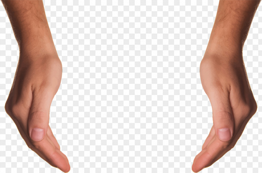 Hand Arm Finger Clip Art PNG