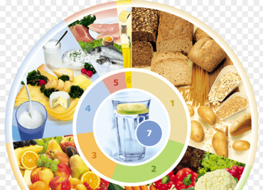 Health German Nutrition Society Food Pyramid Human Nutrient PNG